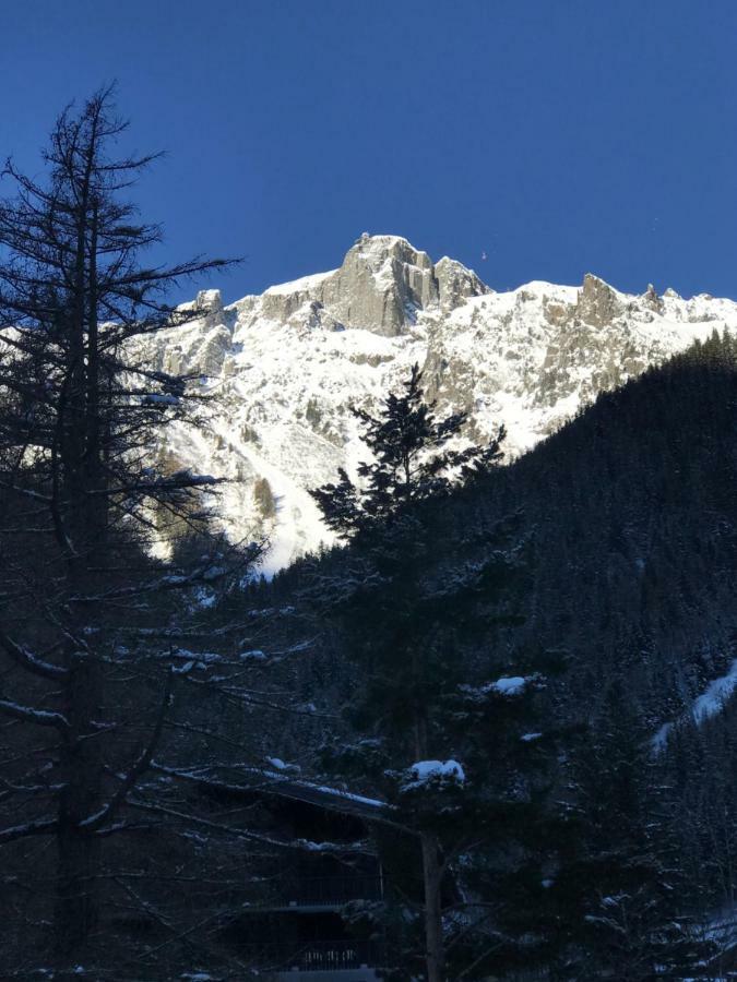 Brevent - Meleze Appartement Chamonix Buitenkant foto