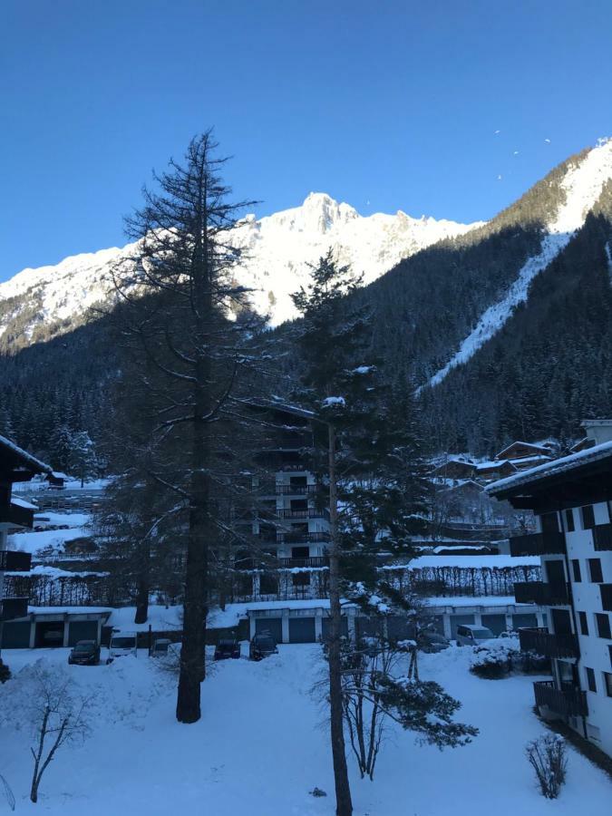 Brevent - Meleze Appartement Chamonix Buitenkant foto