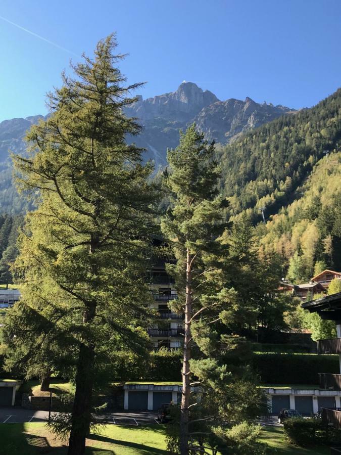 Brevent - Meleze Appartement Chamonix Buitenkant foto